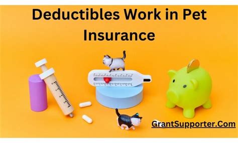 pet insurance no deductible